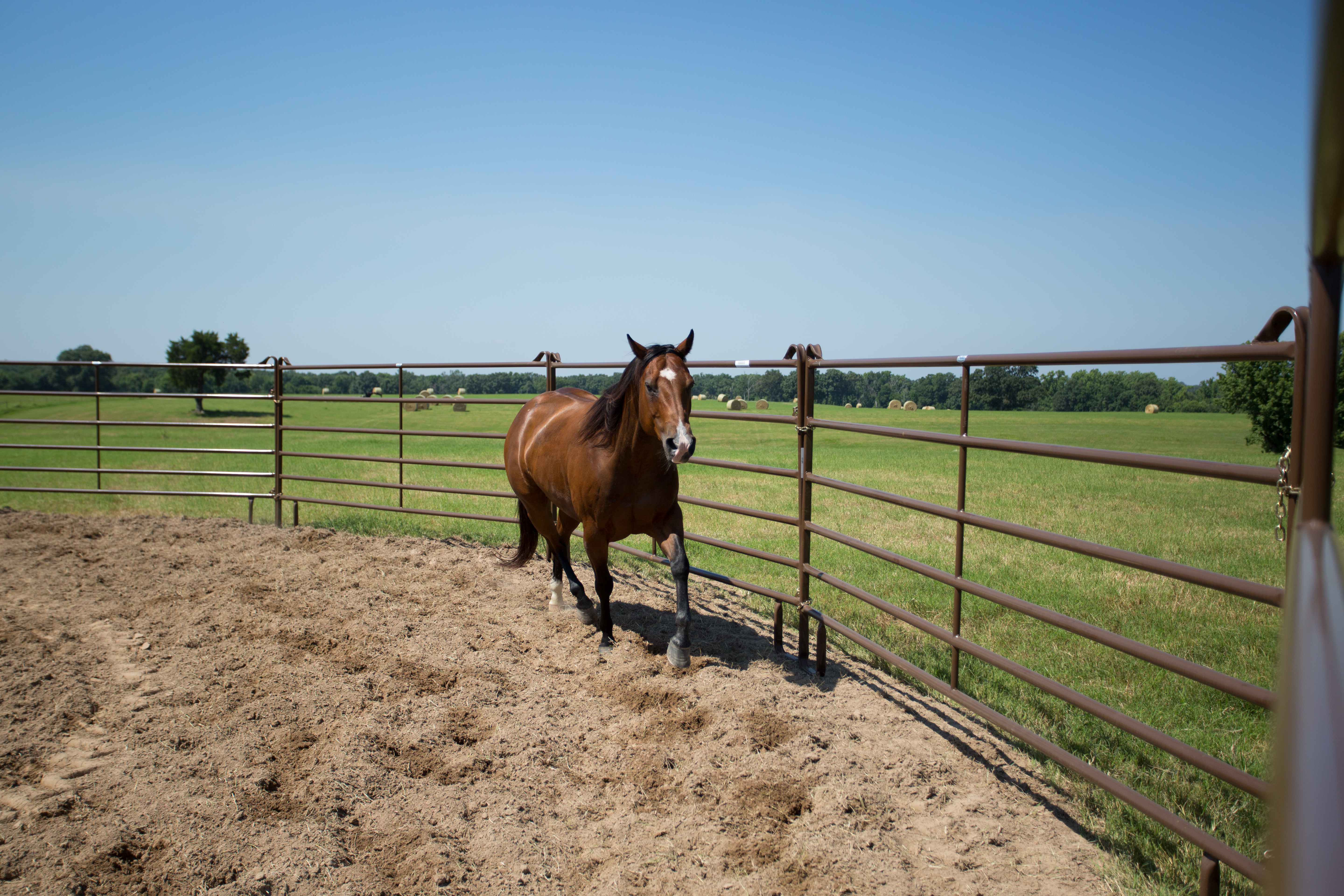 Utility Round Pen UP50 06.jpg